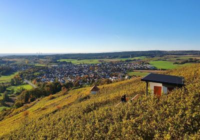 terroir f Alzenau - Arbeiten im Weinberg