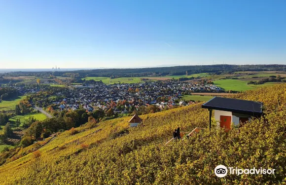 阿爾岑瑙·因·尤特弗蘭恩