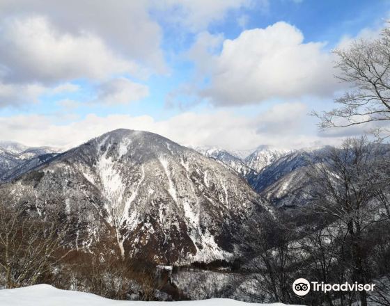 白山市 自由行套票