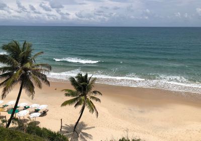 Cacimbinhas Beach