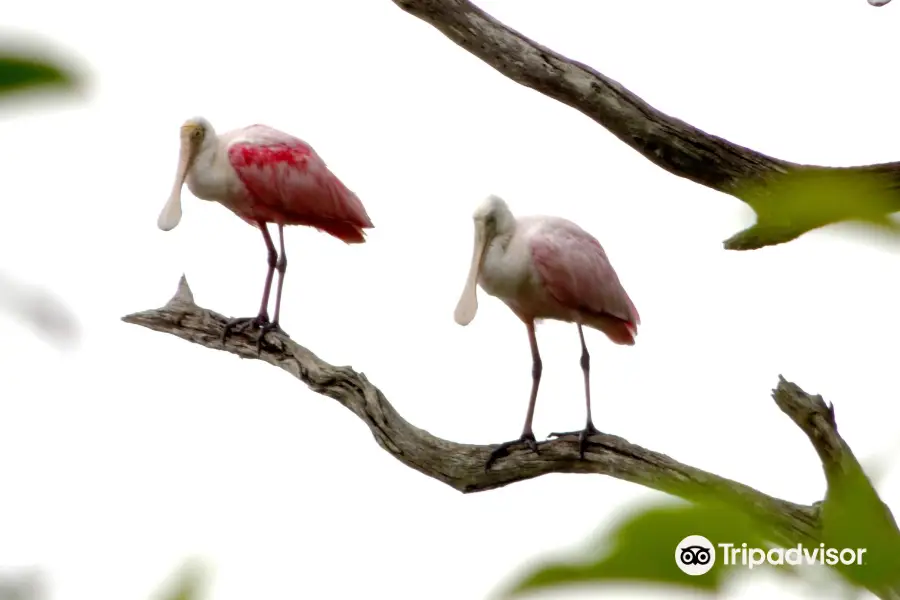 Timucuan Ecological & Historical Preserve