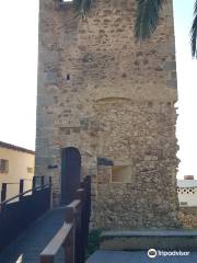 La Torre de Ca l'Alsina
