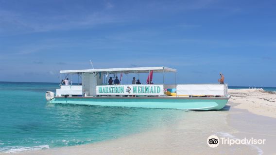 Marathon Mermaid Charters
