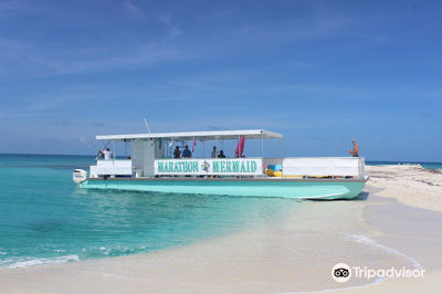 Marathon Mermaid Charters