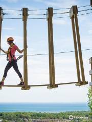 Timber Challenge High Ropes