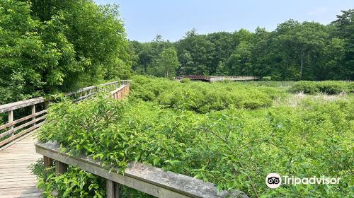 Royal Botanical Gardens - Hendrie Valley Sanctuary (Cherry Hill Gate)