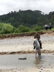 Aventuras a Caballo