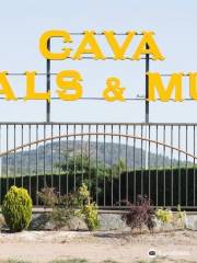 Bodegas Canals & Munné Vinos y Cavas. Visitas Sant Sadurni