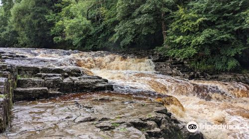 Stainforth Force