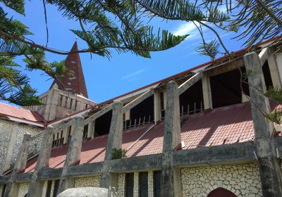Iglesia libre de Tonga