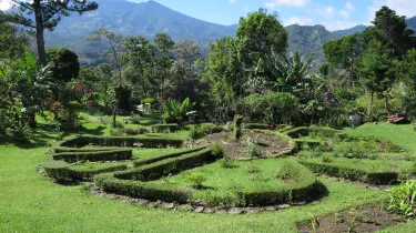 Jaramillo