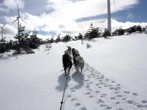 La Vallée d'Amarok