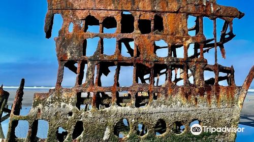 Peter Iredale Ship Wreck