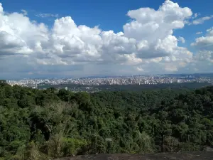 Parque Estadual da Cantareira