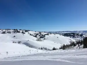 Powder Mountain