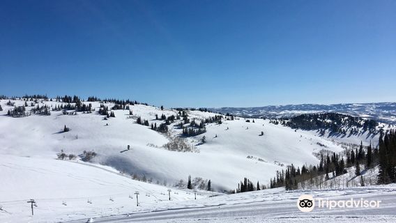 Powder Mountain