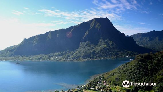 Magic Mountain Overlook