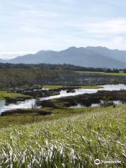 Eubenangee Swamp National Park