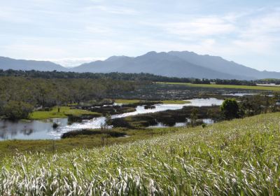 Eubenangee Swamp National Park