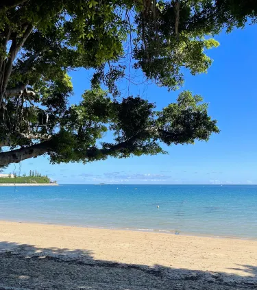 Baie Des Citrons