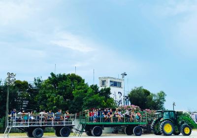 Domaine Paul Ricard Méjanes en Camargue