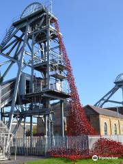 Woodhorn Museum