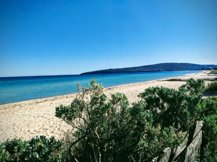 Hotels in Safety Beach