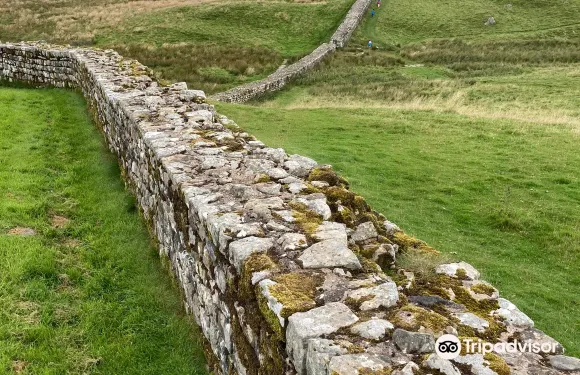 豪斯泰德羅馬堡壘-哈德良長城門票成人