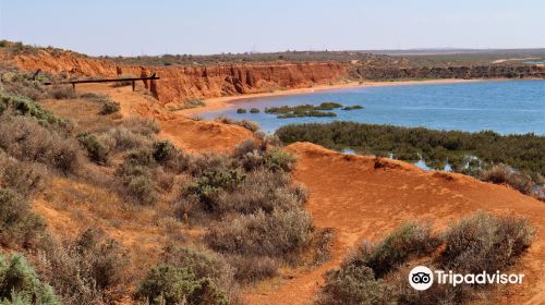 Matthew Flinders Red Cliff Lookout