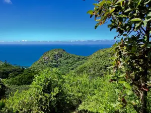Mission Lodge Lookout