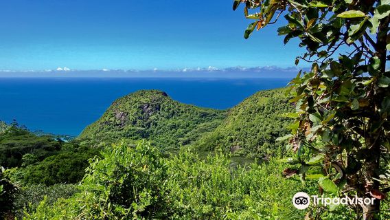 Mission Lodge Lookout