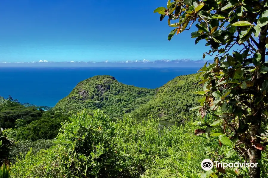 Mission Lodge Lookout