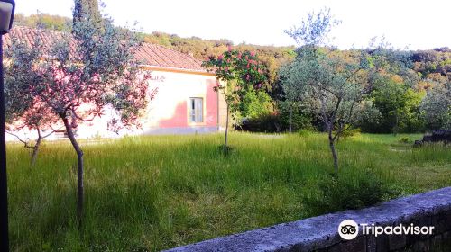 La Ghiandaia - Oasi WWF Bosco di San Silvestro