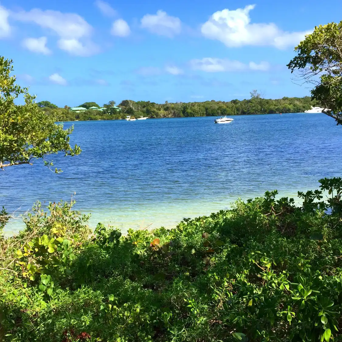 Hotels near James A. Rutherford Park