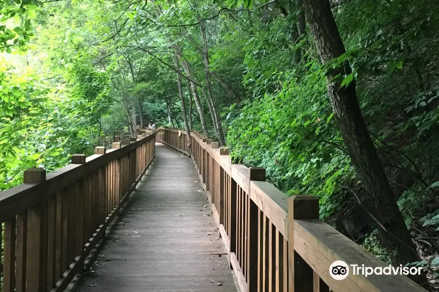 Kalbongsan Natural Recreation Forest