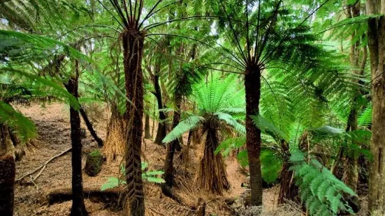 King Island Private Nature Reserve