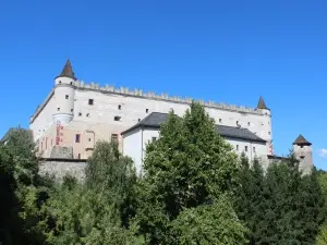 茲沃倫城堡