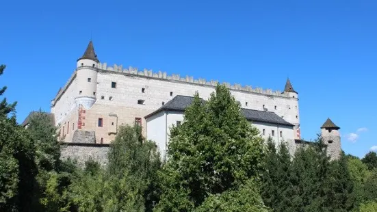 茲沃倫城堡