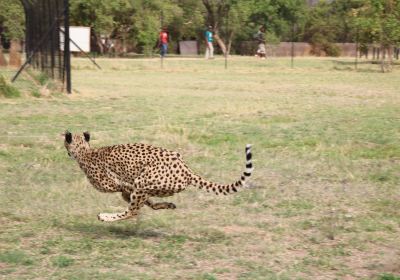 Feracare Wildlife Centre