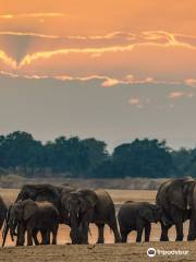 Afriland Tours and Safaris