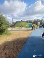 Tecnópolis Skatepark