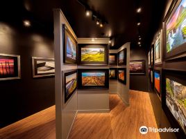 The Phuket Gallery