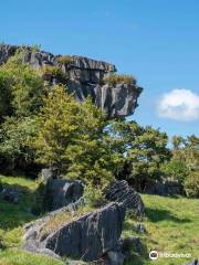 Kawiti Caves