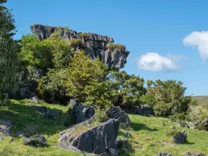 Kawiti Caves