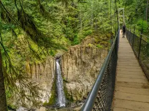 Drift Creek Falls Trail