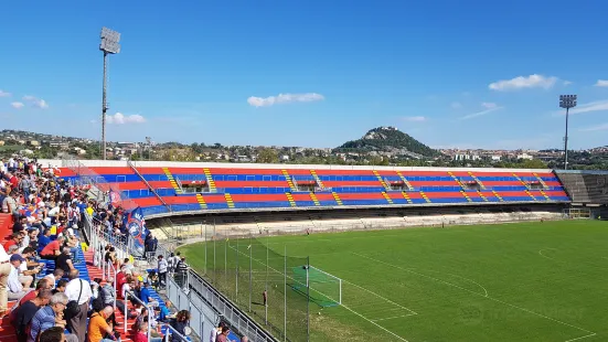 Avicor Stadium Selvapiana