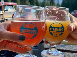 Girdwood Brewing Company