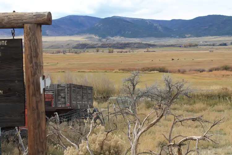 리오 블랑코 카운티