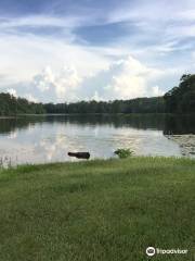 Payne Lake Recreation Area