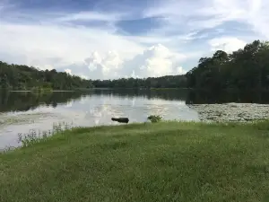 Payne Lake Recreation Area